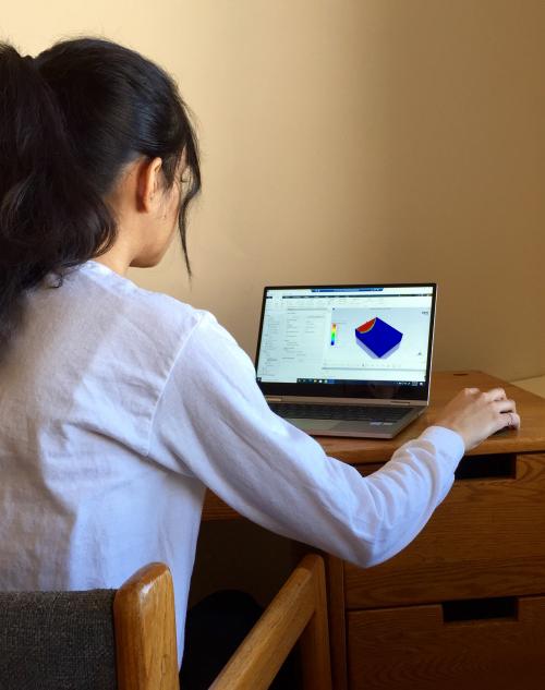 Gowda working with Ansys software