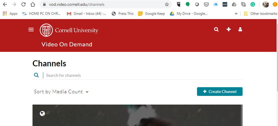 Screenshot of vod.cornell.edu website with "Channel" button highlighted.