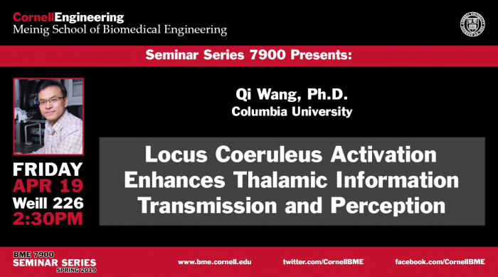 seminar 7900 with Qi Wang banner